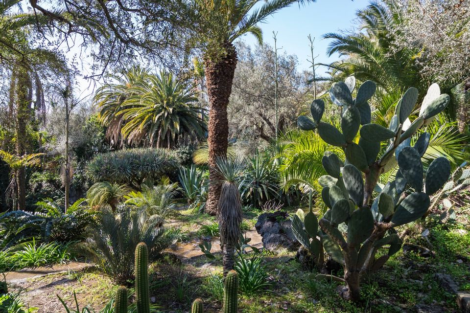 Giardino Botanico Parco Paternò del Toscano